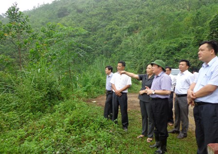 THANH HÓA - MÔ HÌNH KINH TẾ TẠI QUẢNG TRỊ - LAO BẢO -  PHONG NHA 